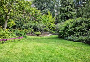 Optimiser l'expérience du jardin à La Boissiere